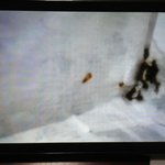 사진,녹음 업글)  마녀사냥 당해요!! 사람들한테 마녀사냥..도와주세요...