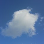 <b>나른</b>하네