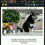 마음으로 보는 사진들..39