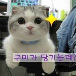 [손금] 손금이 궁금하세요? 송구미의  9탄  [tv출연]