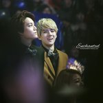 [EXO] 세훈이 보고싶다