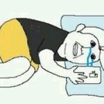 [레이] 겸수니들 잠시만 빠이빠이ㅠㅠ