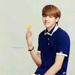 [크리스] <b>비서</b>들 이번 아이비 ㅠㅠㅠㅠㅠㅠㅠㅠ