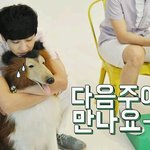 [EXO] 고등학생들어와봐