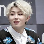 [블락비] 믹테중에서