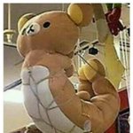 열도 어린이들의 <b>동심</b>을 자극하는 곰인형