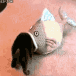 [인생무상] 보이기 시작했다 (51) 옥탑방의 소리