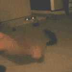 [짤북] 냥이야... 잘자.<b>gif</b>