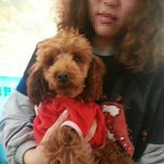 [인어공주] <b>무책임</b>한 주인때문에 버려지고 상처받은 강아지들이 있어요...