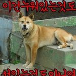 [EXO] 이거 <b>유물</b> 고전짤인데