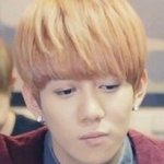 [블락비] <b>벌</b>들은이상한습관같은거이써?