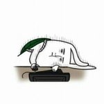 [블락비] ㄷㅣ호한테 해줄선물 결론났다ㅇ3ㅇ