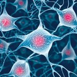 [공포베스트] '기억조작' 기술 5년후 상용화, 추억을 심는 첨단기술