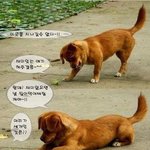 [짤북] 강아지와 <b>사마귀</b>~~!!