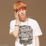 [블락비] 블락비가 만화주제가 부른다면