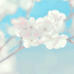 [시우민] 3월<b>소년</b> 민석이의 생일은 그저 다가올뿐이야 .