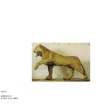 [짤북] 짐이 사자를 잡았으니 <b>박제</b>시켜라~~!!