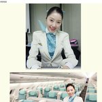 [짤북] 대한항공 vs 아시아나 당신의 <b>선택</b>은?