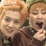 [EXO] 조카와 <b>이모</b>