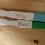 임테기 <b>두줄</b>.. 그리고 피