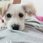 너 혹시 날들었다 놨다 하냐?
