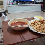 [꿀고양이] 메뉴 고르는 <b>야옹</b>이 유청이