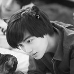 [카이] 종냥이 카이 너는 <b>LOVE</b>