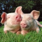 익스트림 스포츠로 다이어트 도전하려고요.xtreme