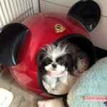 [웃어보자] 정전기폭탄 맞은 우리 <b>딸내미들</b>