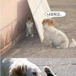 ㅋㅋ vs 올레