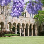 [HOT]호주- 13일(목)! Y대 K대보다 높은 퀸스랜드대학을...