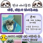 [도와주세요] 은이의 대모 대부가 되어주세요
