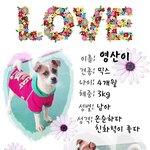 [도와주세요] 유기견을 사랑해주세요