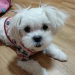 한번웃어볼까요~~ㅎ