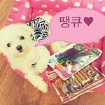 [아이유] 아이유 고쇼 봤는데