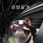 [블락비] 다들또<b>잠적</b>??ㅜ