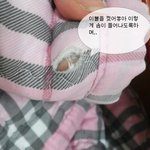 사기<b>누명</b>자는 주거침입에도 권리보장 안되나요?? 아무리 신고하고 진정해봐도...