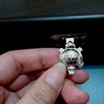 [공진단] 어떤가? 공진단 효능 공진단 잘하는곳!