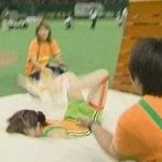 사진만 봐도 아픈 상황들.jpg