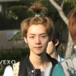 [EXO] 이거 박제 시켜버리면 안되니