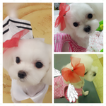 안구<b>미녀</b> 김못나니~~