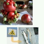 [짠짜] 방사<b>능국</b>의 돌연변이(혐오)