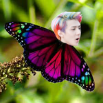 [세훈] <b>보호색</b> 돋네