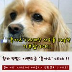 [댓글부탁] 좋아요로 유기견한테 <b>사료</b>를 선물한데요!