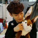 [CHEN] <b>토끼인형</b>이랑 사진찍음