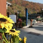 <b>치악산</b> 정기받으며 힐링하기~^^!!