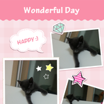 <b>소이</b>생활하는모습투척ㅎ