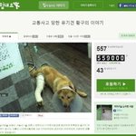 [도와주세요] [힘<b>내요</b>] 나주 천사의집에 희망을 나눠주세요
