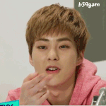 [시우민] 시우민 <b>코스프레</b> 웅녀 팬아트 1탄(+추가)