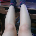 [댓글부탁] <b>반찬</b>다이어트로 8kg감량인데 하비..